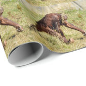 Junge Orang-Utan auf Gras Geschenkpapier (Rolleneckpunkt)