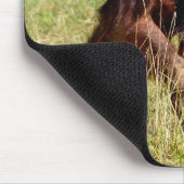 Junge Orang-Utan auf Gras Mousepad (Ecke)