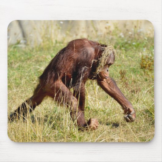 Junge Orang-Utan auf Gras Mousepad (Vorne)