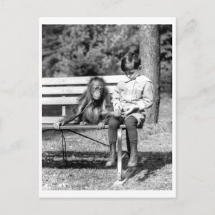 Junge & Orang-Utan Vintage National Zoo Washington Postkarte