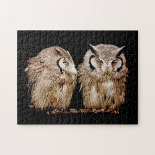 Junge Owlets Puzzle