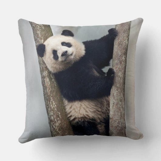 Junge Panda klettert auf einen Baum, China Kissen (Rückseite)
