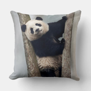 Junge Panda klettert auf einen Baum, China Kissen