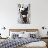 Junge Panda klettert auf einen Baum, China Leinwanddruck (Insitu (Schlafzimmer))