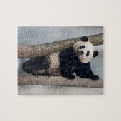 Junge Panda klettert auf einen Baum, China Puzzle (Horizontal)