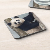 Junge Panda klettert auf einen Baum, China Untersetzer (Linke Seite)
