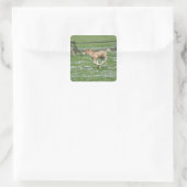 Junge Pferde laufen Quadratischer Aufkleber (Tasche)