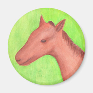 Junge Pferde, Pony, im Aquarellmagazin Magnet