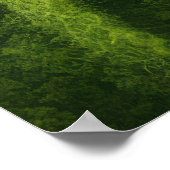 Junge Pflanze Kieselwasser Ruhe Poster (Ecke)