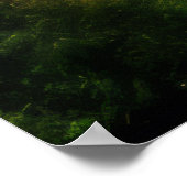 Junge Pflanze Kieselwasser Ruhe Poster (Ecke)