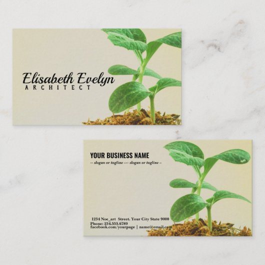 Junge Pflanze Visitenkarte (Vorne/Hinten)