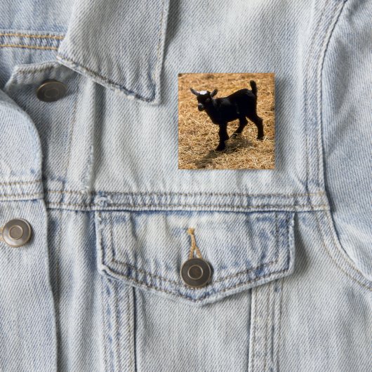 Junge Pigmy-Ziege Button (Beispiel)