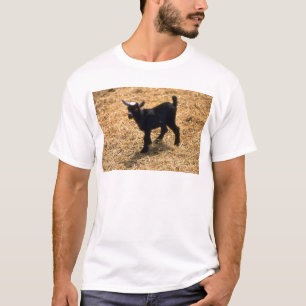 Junge Pigmy-Ziege T-Shirt