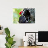 Junge Piletierte Spechte auf Baumplakat Poster (Heimbüro)