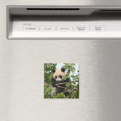 Junge Riesenpanda - Magnet (In Situ (Geschirrspüler))
