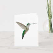 Junge Ruby-throated Hummingbird Karte (Vorderseite)