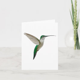 Junge Ruby-throated Hummingbird Karte