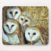 Junge Scheuneeulen Mousepad (Vorne)