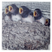 junge Scheunenschwalben Fliese (Vorderseite)