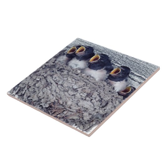 junge Scheunenschwalben Fliese (Seite)