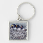 junge Scheunenschwalben Schlüsselanhänger (Vorne)