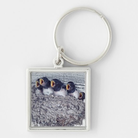 junge Scheunenschwalben Schlüsselanhänger (Vorne)