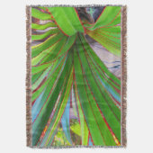 Junge Schraubenkiefer Decke (Vorderseite Vertikal)