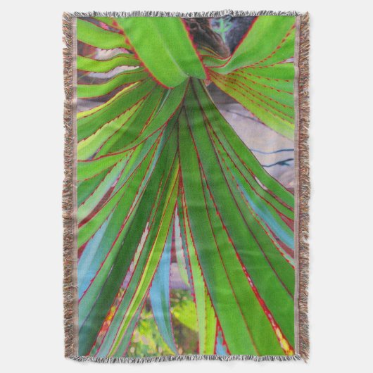 Junge Schraubenkiefer Decke (Vorderseite Vertikal)