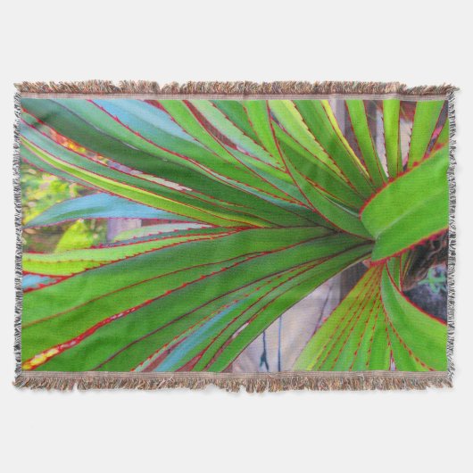 Junge Schraubenkiefer Decke (Vorderseite)