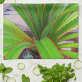 Junge Schraubenkiefer Küchentuch (Gefaltet)