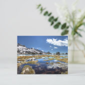 Junge Seen - Yosemite - Sierra Nevada - Postkarte (Stehend Vorderseite)
