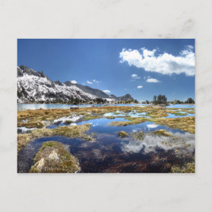 Junge Seen - Yosemite - Sierra Nevada - Postkarte