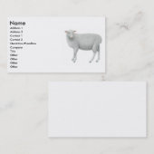 Junge Sheepp Visitenkarte (Vorne/Hinten)