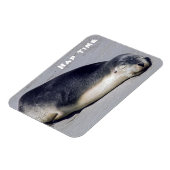 Junge Siegel schlafen am Strand - Australien Magnet (Linke Seite)