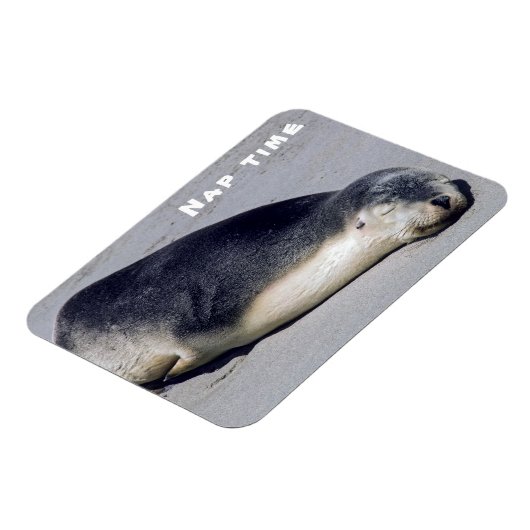 Junge Siegel schlafen am Strand - Australien Magnet (Linke Seite)