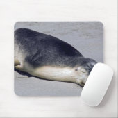 Junge Siegel schlafen am Strand - Australien Mousepad (Mit Mouse)