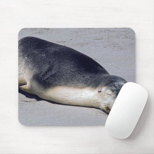 Junge Siegel schlafen am Strand - Australien Mousepad (Mit Mouse)