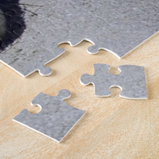 Junge Siegel schlafen am Strand - Australien Puzzle (Seite)