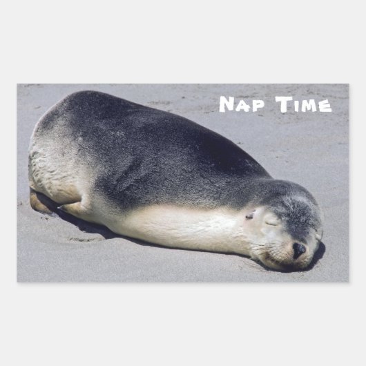 Junge Siegel schlafen am Strand - Australien Rechteckiger Aufkleber (Vorderseite)