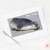 Junge Siegel schlafen am Strand - Australien Rechteckiger Aufkleber (Umschlag)