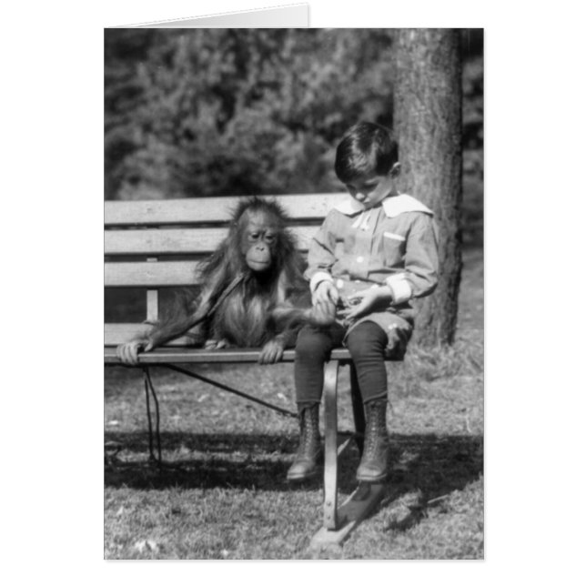 Junge sitzt mit Orang-Utan im Nationalen Zoo (Vorne)