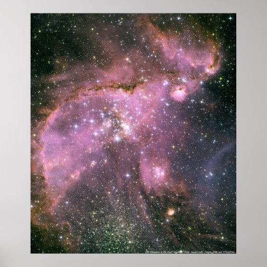 Junge Sterne in der kleinen magellanischen Cloud Poster (Vorne)