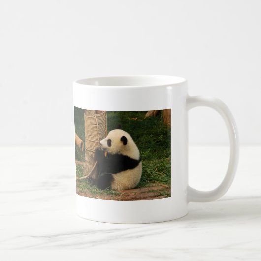 Junge Tasse des riesigen Pandas (Rechts)