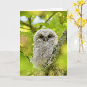 Junge Uhu Karte (Gelbe Blume)