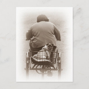 Junge und Mops, die auf der Postkarte fahren