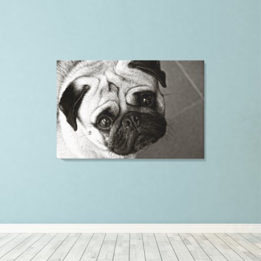 Junge von Pug auf Leinwand (Insitu (Holzboden))