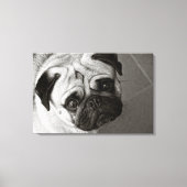 Junge von Pug auf Leinwand (Vorderseite)