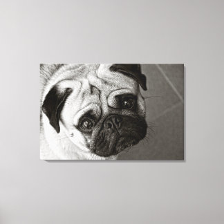 Junge von Pug auf Leinwand