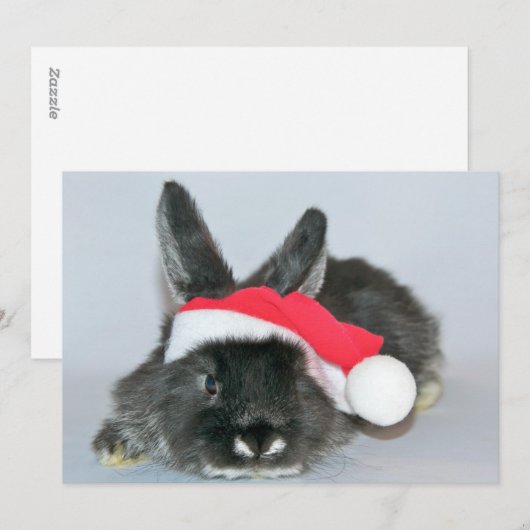 Junge Weihnachtshasen Feiertagskarte (Vorne/Hinten)