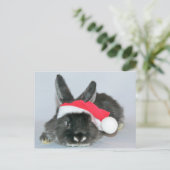 Junge Weihnachtshasen Feiertagspostkarte (Stehend Vorderseite)